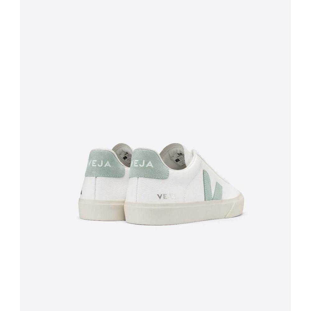 Men's Veja CAMPO CHROMEFREE Low Tops Sneakers White/Mint | ZA 295RVD